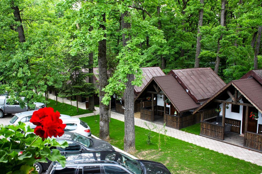 Cornul Vanatorului Bungalows Piteşti Exterior foto