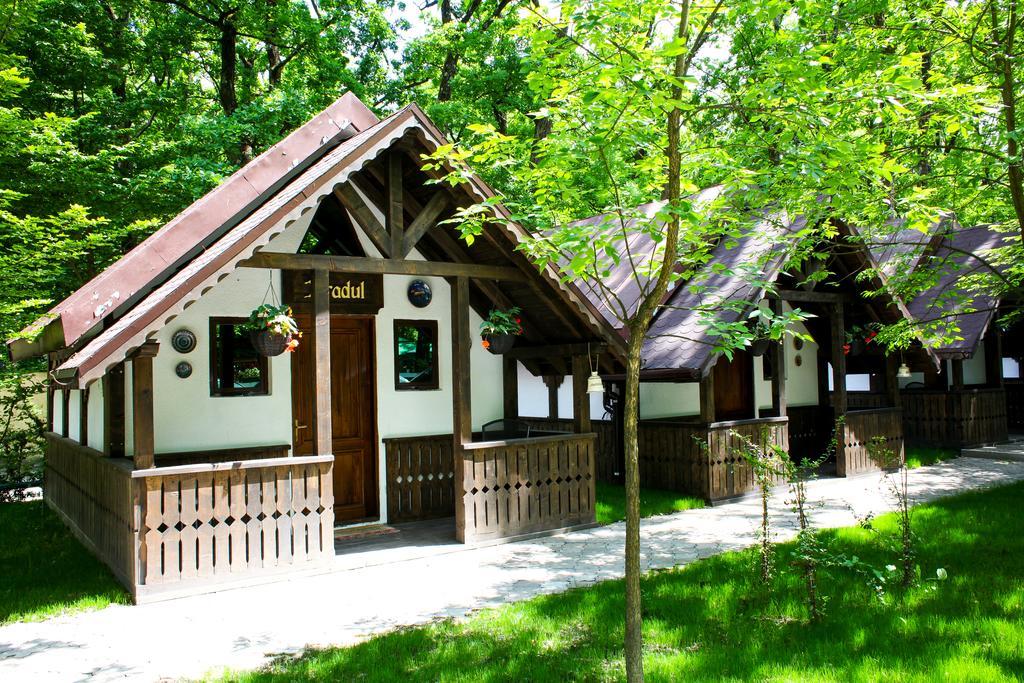 Cornul Vanatorului Bungalows Piteşti Exterior foto