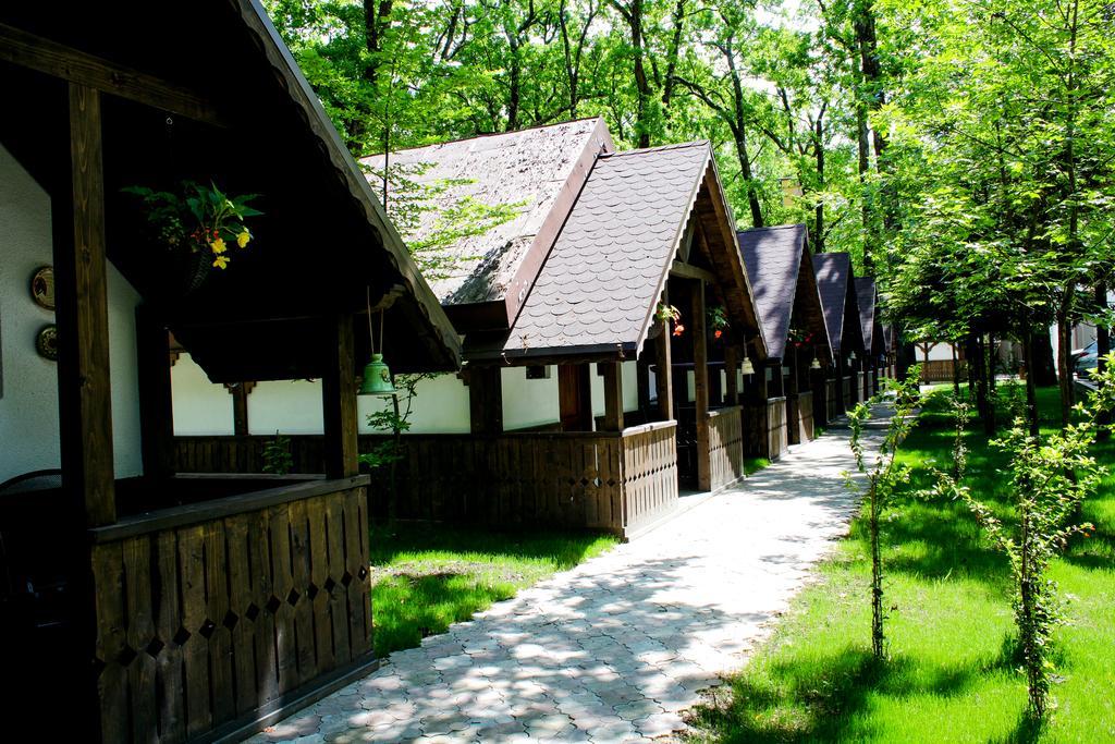 Cornul Vanatorului Bungalows Piteşti Exterior foto
