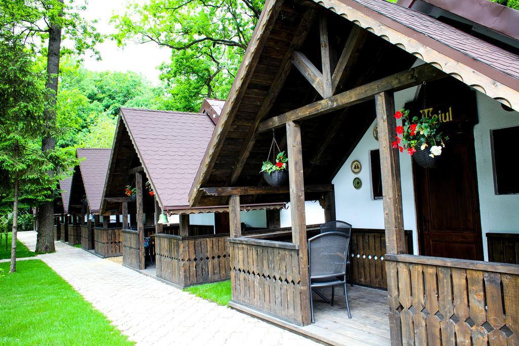 Cornul Vanatorului Bungalows Piteşti Exterior foto