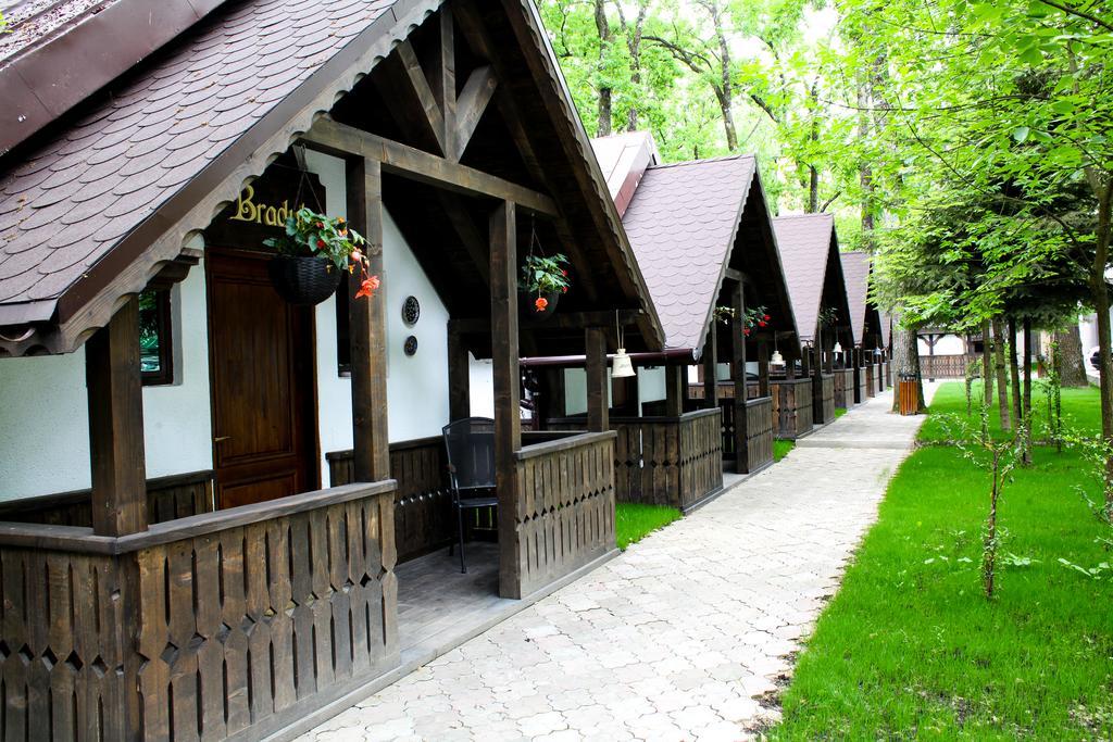 Cornul Vanatorului Bungalows Piteşti Exterior foto